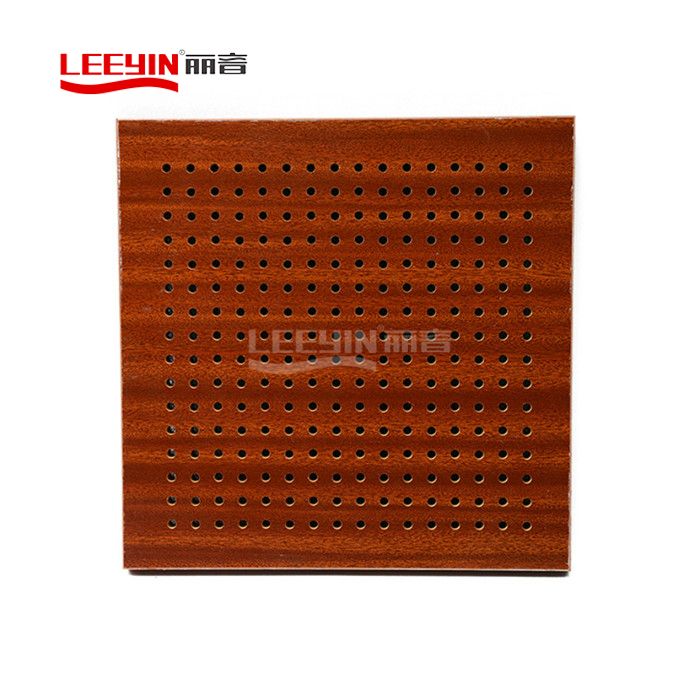 Wooden Perforated Wall Panel for Gymnasium
