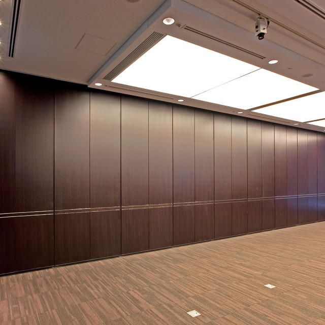 Multi-function Room Acoustic Folding Partition