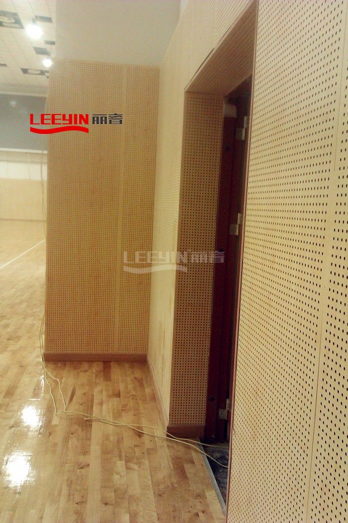 Wooden Perforated Wall Panel for Gymnasium